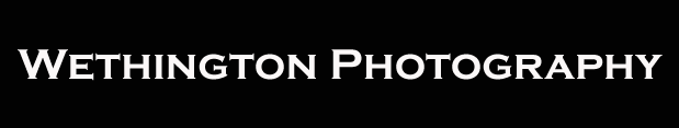 wethingtonlogo